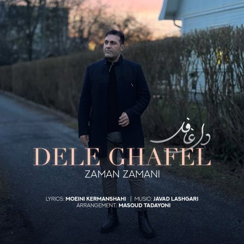 زمان زمانی - دل قافل